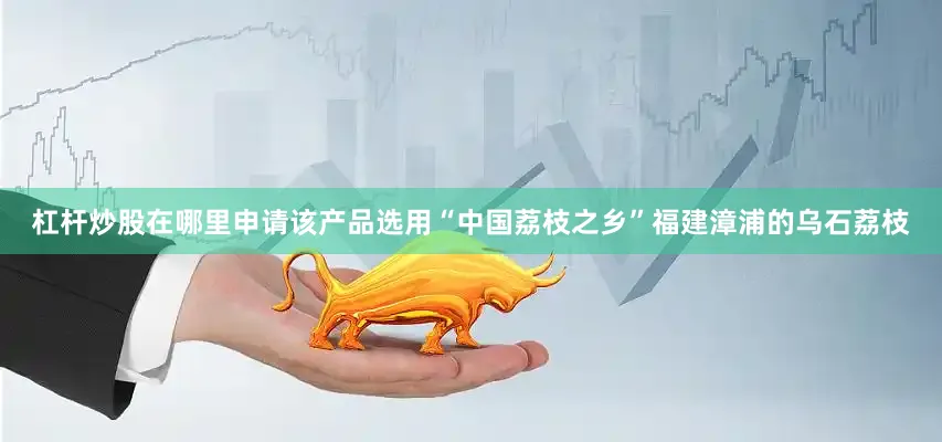 杠杆炒股在哪里申请该产品选用“中国荔枝之乡”福建漳浦的乌石荔枝