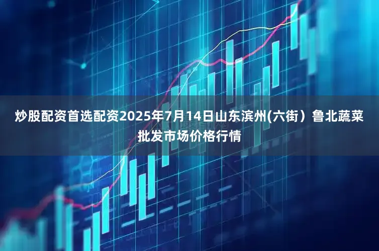 炒股配资首选配资2025年7月14日山东滨州(六街）鲁北蔬菜批发市场价格行情